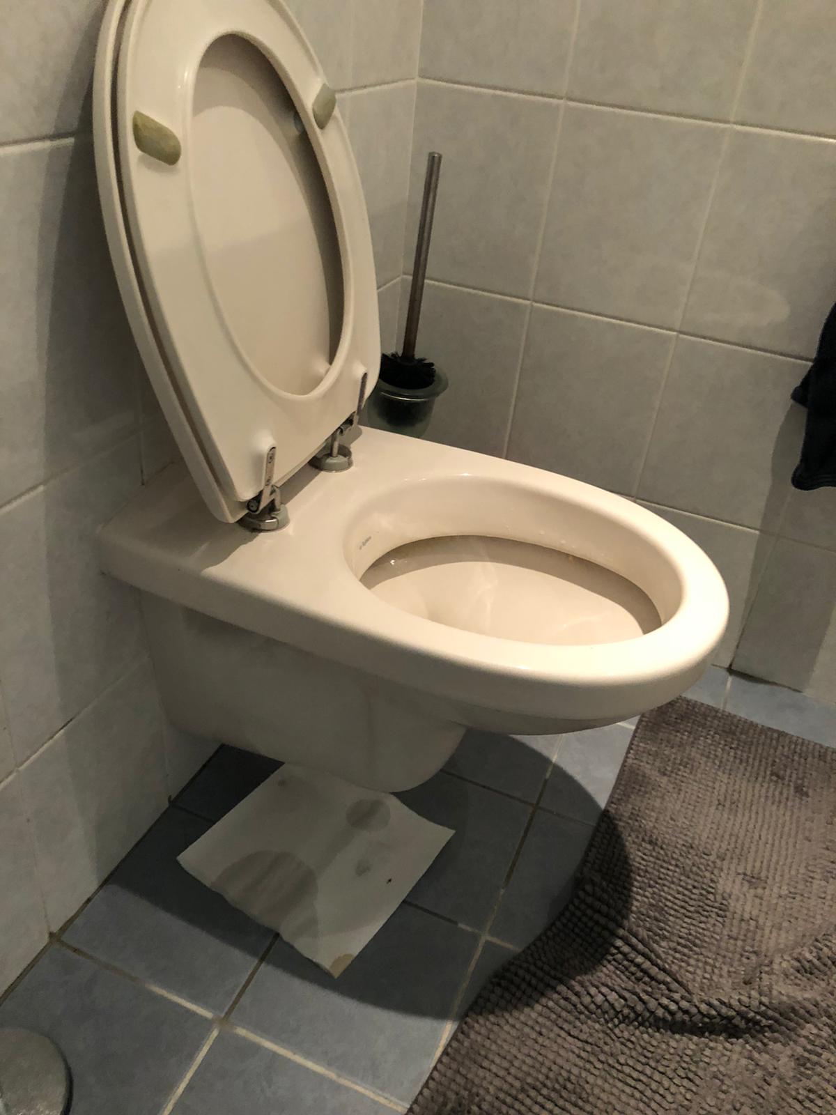 hangtoilet Borculo